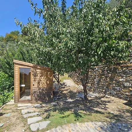 Cozy Home In Zoagli With Sauna Zoagli